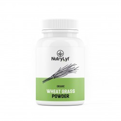Powder Wheatgrass